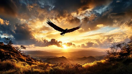 Obraz premium Eagle soaring against dramatic sunset over rolling hills nature photography tranquil environment wide angle view