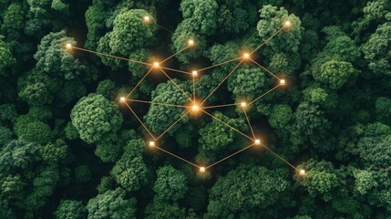 Technological networks intertwine with lush forest canopies, showcasing how human creativity enhances environmental awareness and conservation efforts