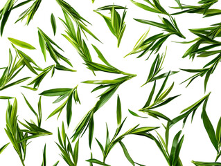 Naklejka premium Floating Green Tea Leaves on Transparent Background, PNG