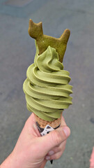 Macha ice cream matcha ice cream