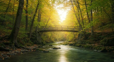 Obraz premium Tranquil Forest Bridge Over Flowing River in Autumn Sunlight
