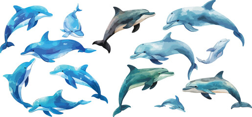 dolphin watercolor clipart © dian's