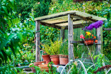 Beautiful rustic garden shelter with potted plants surrounded by lush greenery during a sunny day