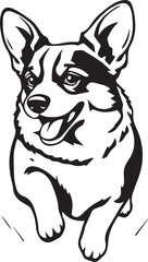 Corgi dog. Hand drawn vector illustration