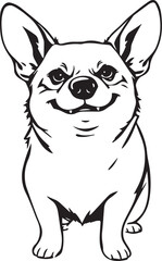 Corgi dog. Hand drawn vector illustration