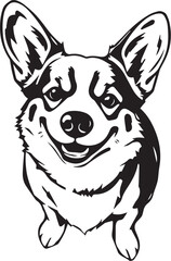 Corgi dog. Hand drawn vector illustration