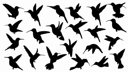 set of hummingbird silhouette vector on white background