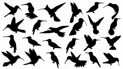 set of hummingbird silhouette vector on white background © Rani