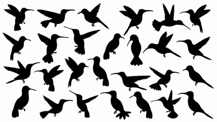 set of hummingbird silhouette vector on white background