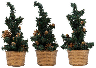 Isolated small X-mas tree on white background