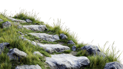 Overgrown Stone Steps on a Hillside, PNG