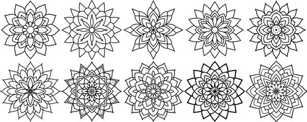 Vector set of flowers with a vintage winter snowflake pattern design