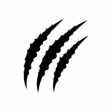 creative details Claw Marks Icon Vector Illustration