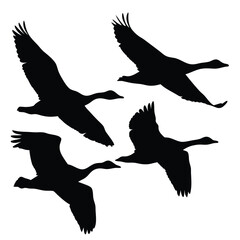 Flying Geese Silhouette Set On Transparent Background, Isolated Birds Wildlife