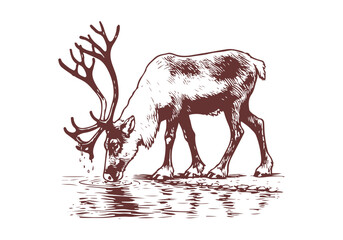 Reindeer hand drawn sketch illustration vector