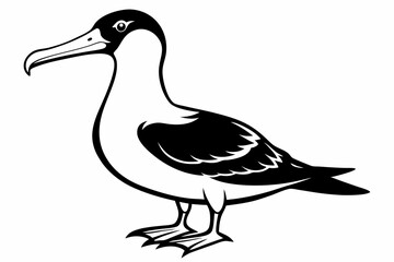 Obraz premium albatross silhouette line art vector illustration
