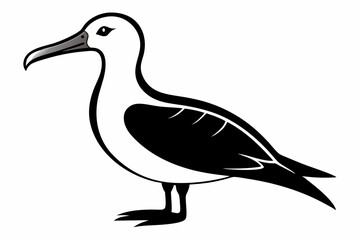 albatross silhouette line art vector illustration