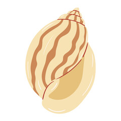 Beautifully detailed shell found on a beach during a sunny afternoon