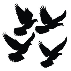Fototapeta premium Four Birds Silhouette Flying with Wings Spread on Transparent Background