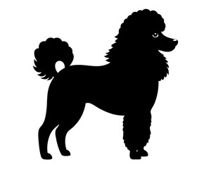 Standard Poodle Dog Silhouette Vector & SVG