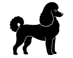 Standard Poodle Dog Silhouette Vector & SVG