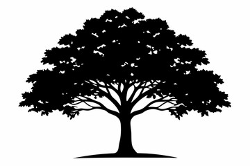 ash tree silhouette line art vector illustration