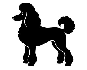 Standard Poodle Dog Silhouette Vector & SVG