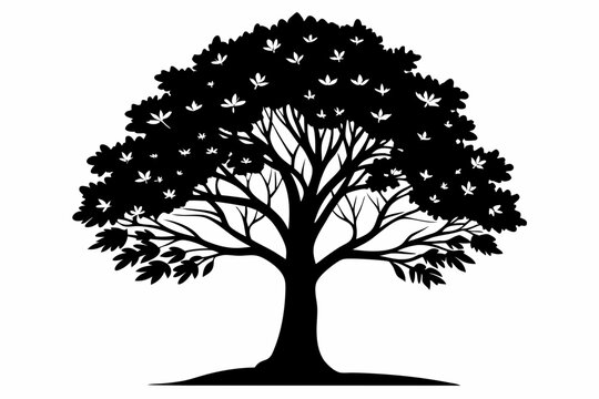 ash tree silhouette line art vector illustration