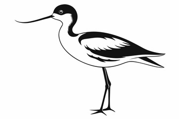 Fototapeta premium avocet silhouette line art vector illustration