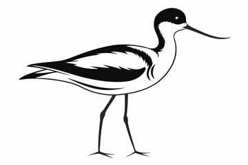 avocet silhouette line art vector illustration