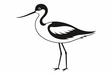 avocet silhouette line art vector illustration