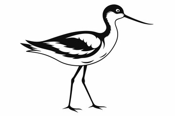 Fototapeta premium avocet silhouette line art vector illustration
