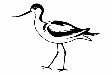 avocet silhouette line art vector illustration