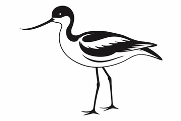 avocet silhouette line art vector illustration