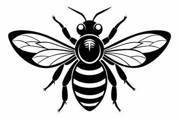 bee silhouette line art vector illustration