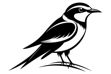bee eater silhouette line art vector illustration