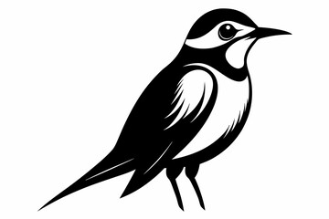 bee eater silhouette line art vector illustration