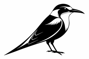 bee eater silhouette line art vector illustration