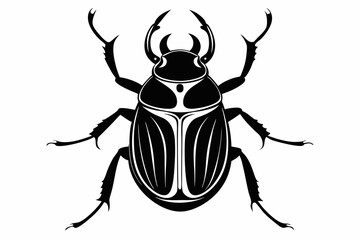 beetle silhouette line art vector illustration
