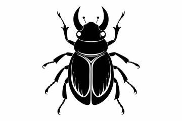 beetle silhouette line art vector illustration