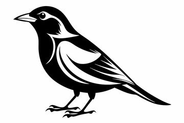 bobolink silhouette line art vector illustration