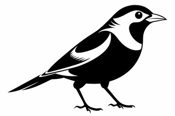 bobolink silhouette line art vector illustration
