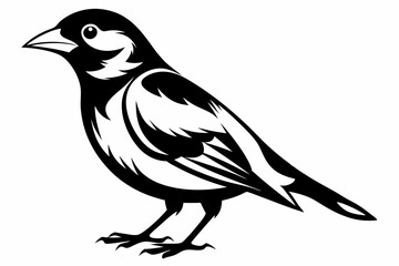bobolink silhouette line art vector illustration