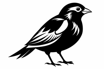bobolink silhouette line art vector illustration