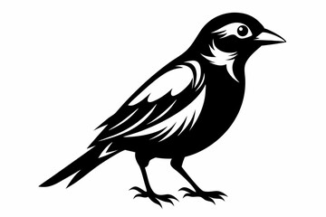 bobolink silhouette line art vector illustration