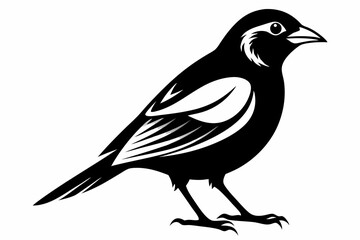 bobolink silhouette line art vector illustration