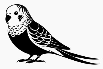 budgerigar silhouette line art vector illustration