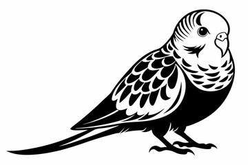 budgerigar silhouette line art vector illustration