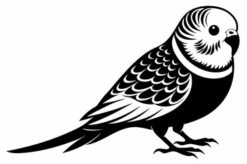 Obraz premium budgerigar silhouette line art vector illustration