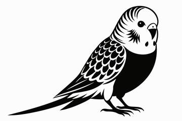 Fototapeta premium budgerigar silhouette line art vector illustration